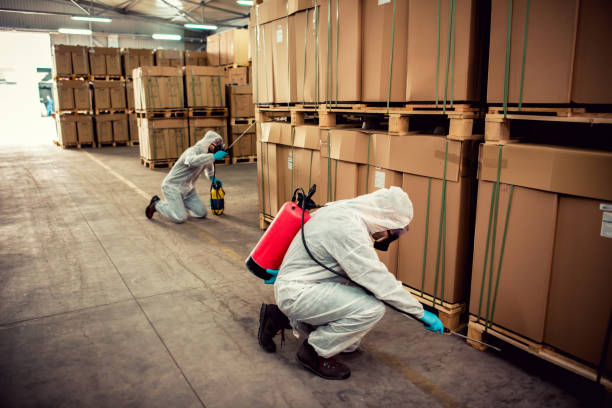 Best Affordable Pest Control Services  in Gowanda, NY