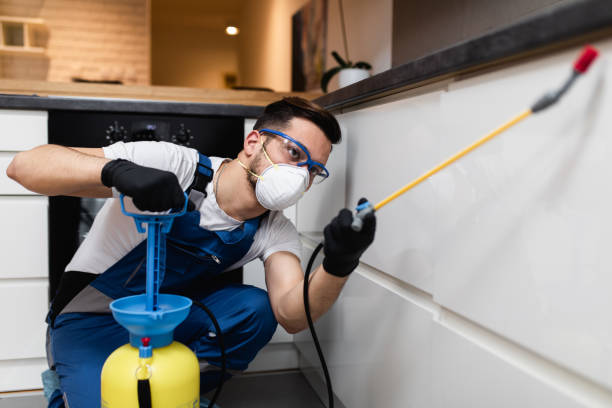 Best Cockroach Control Services  in Gowanda, NY