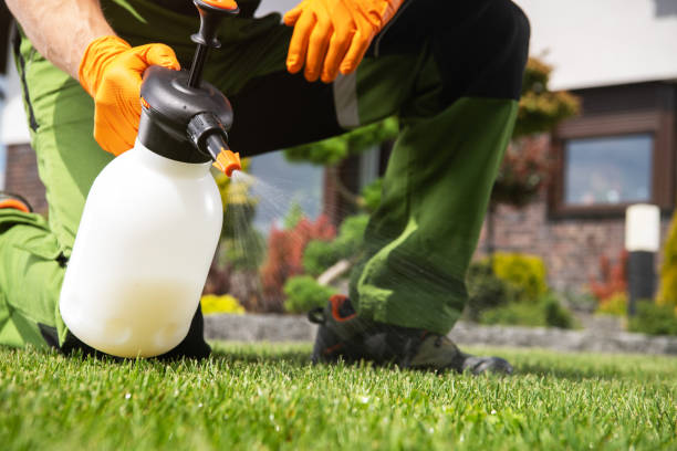 Best Pest Removal Services  in Gowanda, NY