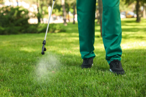Best Best Pest Control Companies  in Gowanda, NY