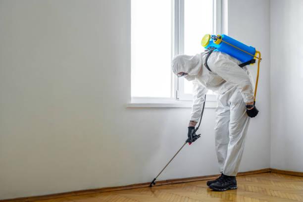 Best Commercial Pest Control Services  in Gowanda, NY