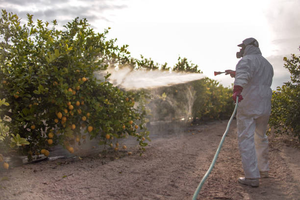  Gowanda, NY Pest Control Pros